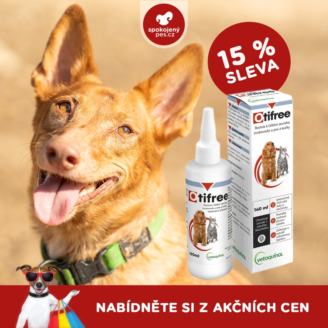 dog veto.webp